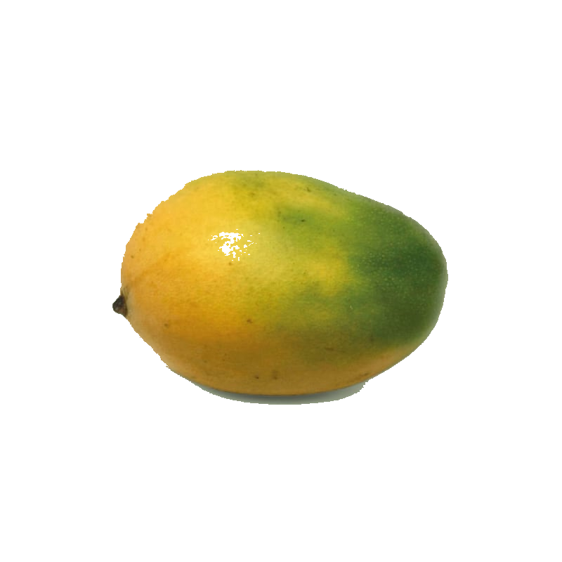 Mangue Jaune