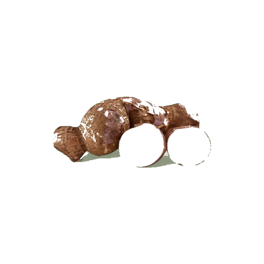 Manioc