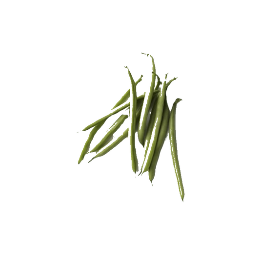 Haricot Vert