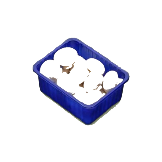 Champignon de Paris C1 500g